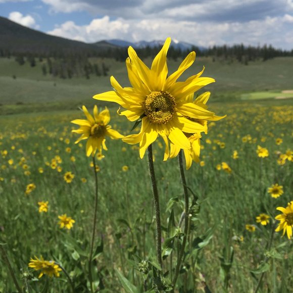 Welcome to Mama Llama's Cozy Closet! - Picture 5 of 15